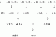 李奎团队培育的蓝思猪配套系提升种猪新品种培育效率