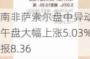 南非萨索尔盘中异动 下午盘大幅上涨5.03%报8.36
