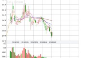 天弘科技盘中异动 快速拉升5.02%报54.06
