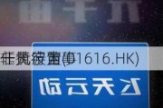 一元宇宙(01616.HK)
任黄波为
非执行董事