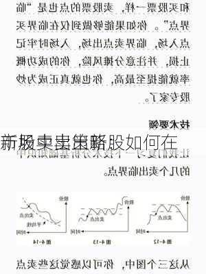 新股卖出策略：如何在
市场中卖出新股