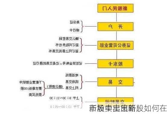 新股卖出策略：如何在
市场中卖出新股