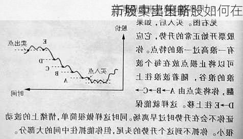 新股卖出策略：如何在
市场中卖出新股