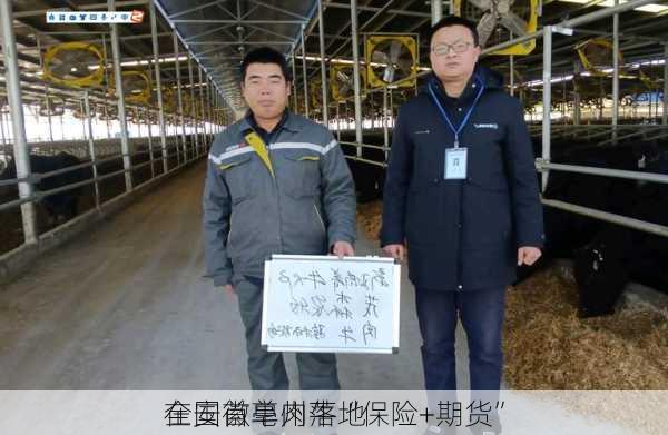 全国首单肉牛“保险+期货”
在安徽亳州落地