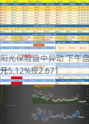 阳光保险盘中异动 下午盘急速拉升5.12%报2.671
元