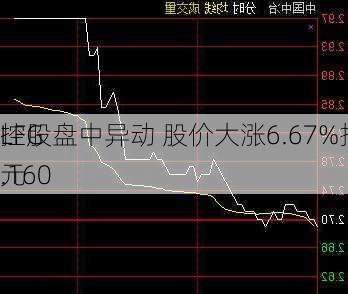 LFG
控股盘中异动 股价大涨6.67%报0.160
元