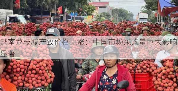 越南荔枝减产致价格上涨：中国市场采购量巨大影响显著