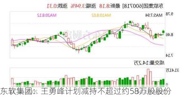 东软集团：王勇峰计划减持不超过约58万股股份