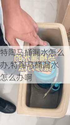 特陶马桶漏水怎么办,特陶马桶漏水怎么办啊