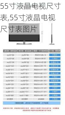 55寸液晶电视尺寸表,55寸液晶电视尺寸表图片