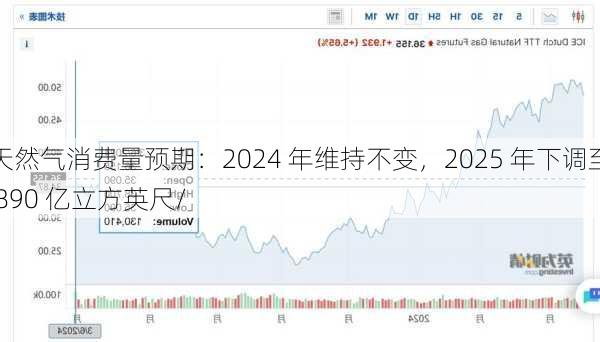 
天然气消费量预期：2024 年维持不变，2025 年下调至 890 亿立方英尺/
