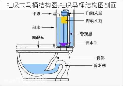 虹吸式马桶结构图,虹吸马桶结构图剖面