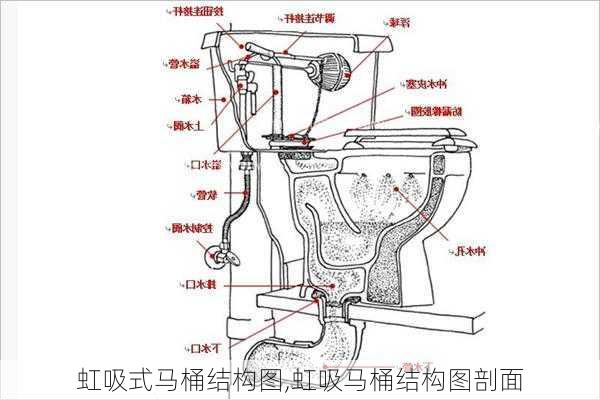 虹吸式马桶结构图,虹吸马桶结构图剖面