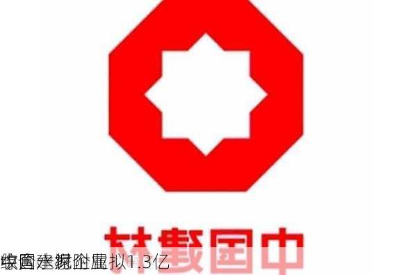 中国建材附属拟1.3亿
收购一家
综合水泥企业