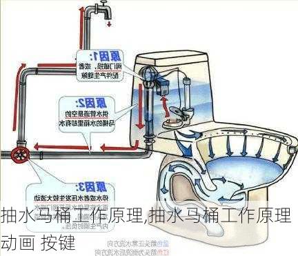 抽水马桶工作原理,抽水马桶工作原理动画 按键