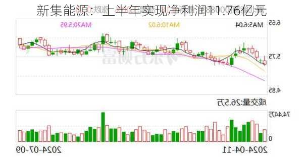 新集能源：上半年实现净利润11.76亿元