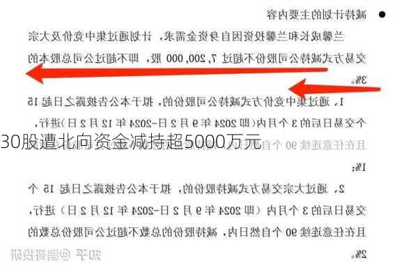 30股遭北向资金减持超5000万元