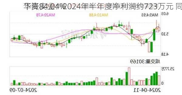 华资实业：2024年半年度净利润约723万元 同
下降84.04%