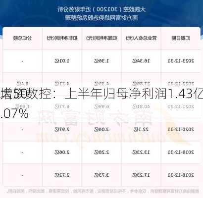 大族数控：上半年归母净利润1.43亿元 同
增50.07%