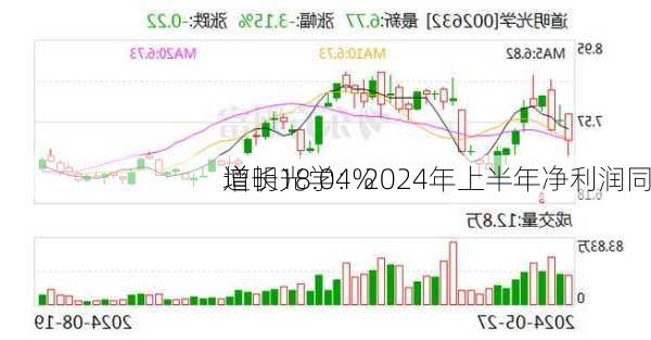 道明光学：2024年上半年净利润同
增长18.04%