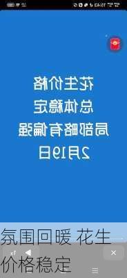 
氛围回暖 花生价格稳定