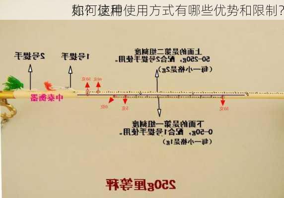 如何使用
称？这种使用方式有哪些优势和限制？