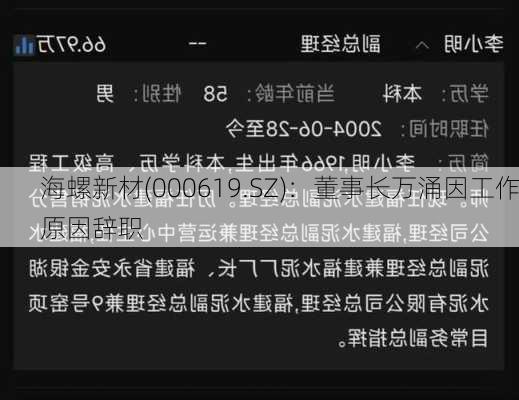 海螺新材(000619.SZ)：董事长万涌因工作原因辞职