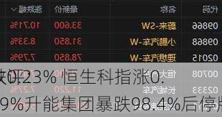 收评：
跌0.23% 恒生科指涨0.29%升能集团暴跌98.4%后停牌