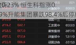 收评：
跌0.23% 恒生科指涨0.29%升能集团暴跌98.4%后停牌