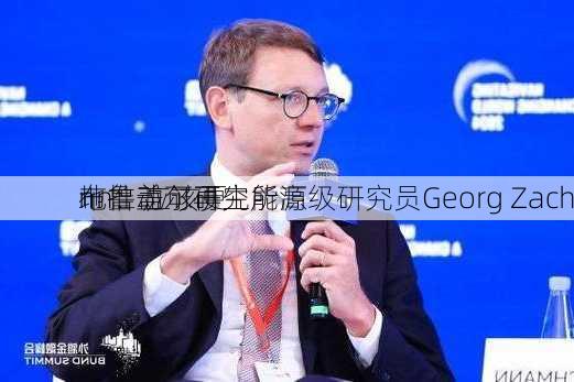 布鲁盖尔研究所高级研究员Georg Zach
nn：应该更
地推动可再生能源