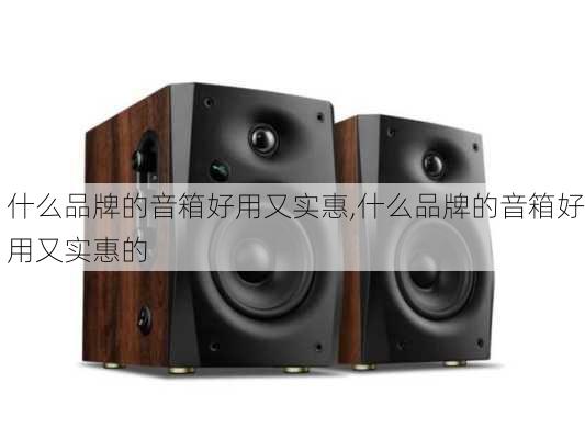 什么品牌的音箱好用又实惠,什么品牌的音箱好用又实惠的