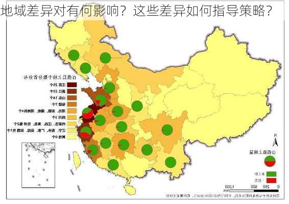 地域差异对有何影响？这些差异如何指导策略？