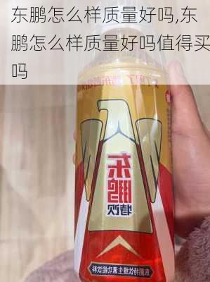 东鹏怎么样质量好吗,东鹏怎么样质量好吗值得买吗