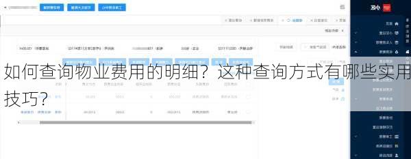 如何查询物业费用的明细？这种查询方式有哪些实用技巧？