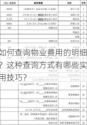 如何查询物业费用的明细？这种查询方式有哪些实用技巧？