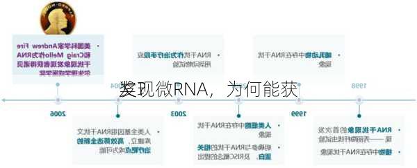 发现微RNA，为何能获
奖？