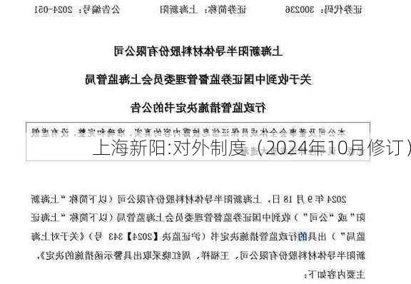 上海新阳:对外制度（2024年10月修订）