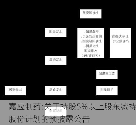 嘉应制药:关于持股5%以上股东减持股份计划的预披露公告