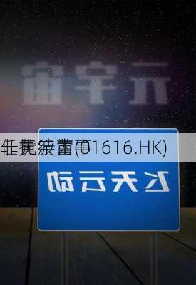 一元宇宙(01616.HK)
任黄波为
非执行董事