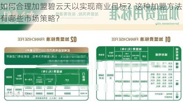 如何合理加盟碧云天以实现商业目标？这种加盟方法有哪些市场策略？