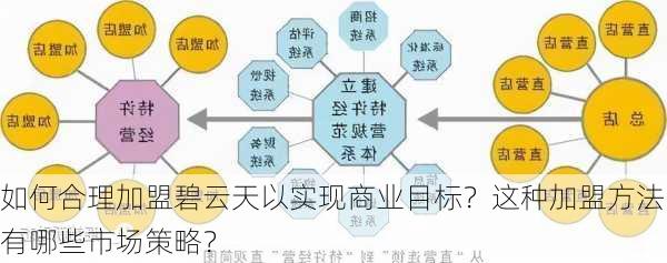 如何合理加盟碧云天以实现商业目标？这种加盟方法有哪些市场策略？